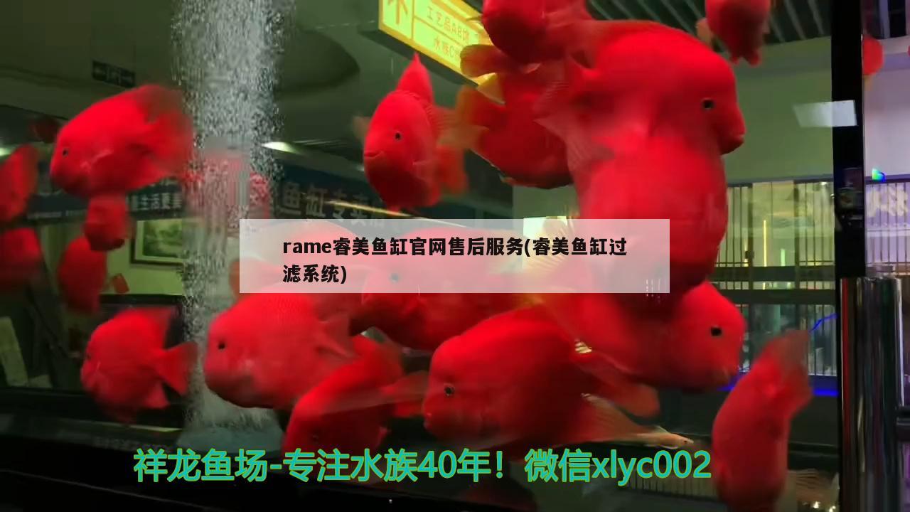 rame睿美鱼缸官网售后服务(睿美鱼缸过滤系统) 金老虎鱼