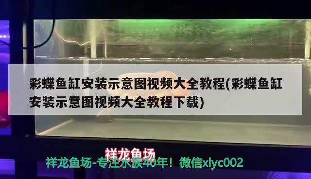 彩蝶鱼缸安装示意图视频大全教程(彩蝶鱼缸安装示意图视频大全教程下载) 观赏鱼市场