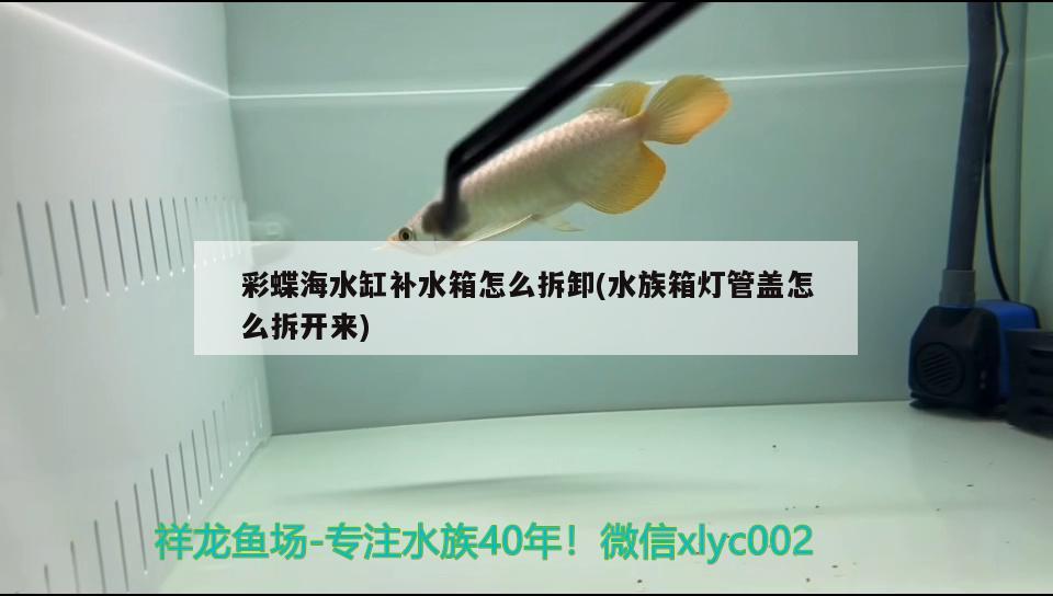 彩蝶海水缸补水箱怎么拆卸(水族箱灯管盖怎么拆开来) 鱼缸/水族箱 第1张