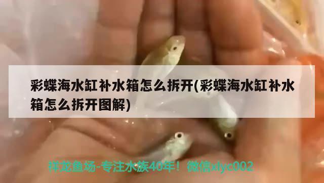 彩蝶海水缸补水箱怎么拆开(彩蝶海水缸补水箱怎么拆开图解) 水族杂谈