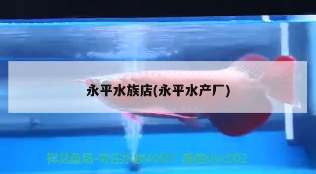 永平水族店(永平水产厂) 鱼缸水质稳定剂