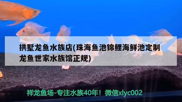 拱墅龙鱼水族店(珠海鱼池锦鲤海鲜池定制龙鱼世家水族馆正规) 祥龙赫舞红龙鱼