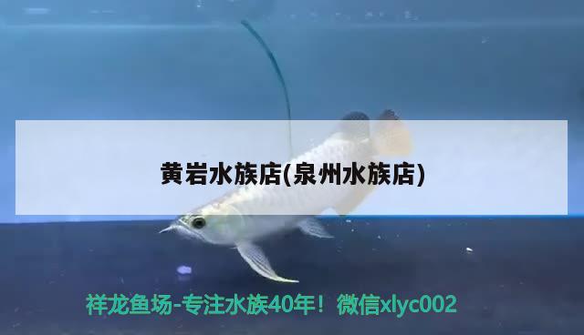 黄岩水族店(泉州水族店) 观赏鱼批发