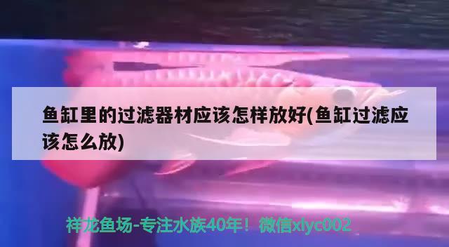 鱼缸里的过滤器材应该怎样放好(鱼缸过滤应该怎么放)