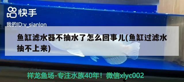 鱼缸滤水器不抽水了怎么回事儿(鱼缸过滤水抽不上来) 朱巴利鱼