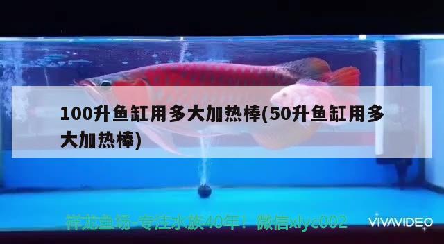 100升鱼缸用多大加热棒(50升鱼缸用多大加热棒) 纯血皇冠黑白魟鱼