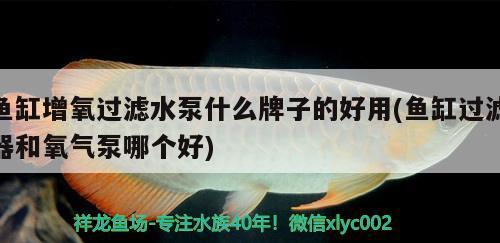 鱼缸增氧过滤水泵什么牌子的好用(鱼缸过滤器和氧气泵哪个好) 观赏鱼市场