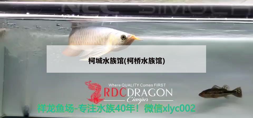 柯城水族馆(柯桥水族馆) 祥龙鱼场