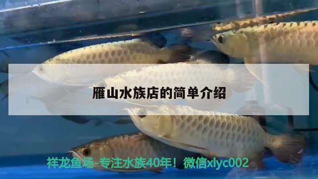 雁山水族店的简单介绍 广州观赏鱼批发市场