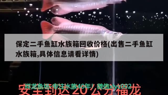 保定二手鱼缸水族箱回收价格(出售二手鱼缸水族箱,具体信息请看详情) 鱼缸/水族箱