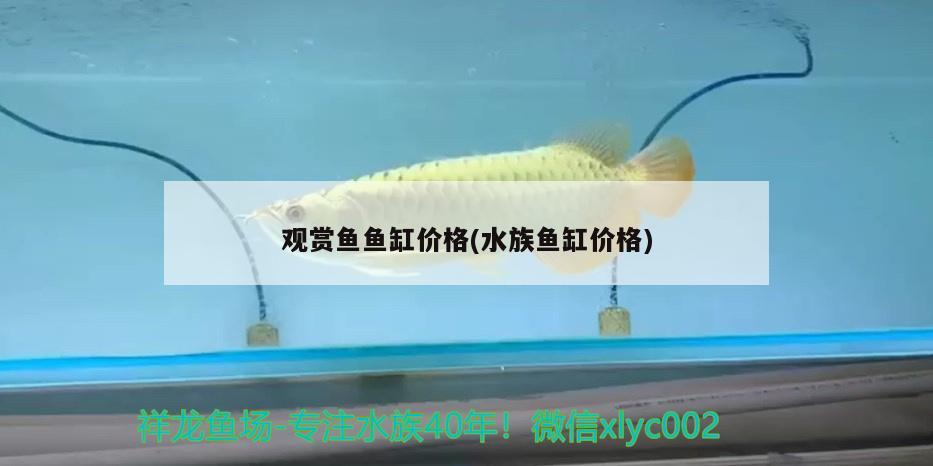 观赏鱼鱼缸价格(水族鱼缸价格) 野彩鱼