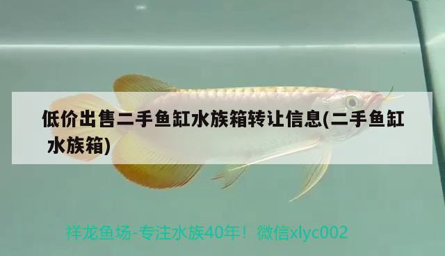 低价出售二手鱼缸水族箱转让信息(二手鱼缸水族箱)