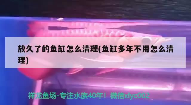 放久了的鱼缸怎么清理(鱼缸多年不用怎么清理)