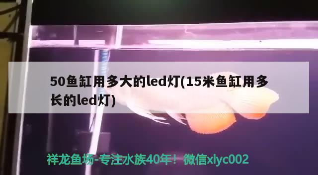 50鱼缸用多大的led灯(15米鱼缸用多长的led灯)