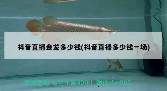 抖音直播金龙多少钱(抖音直播多少钱一场) 肥料