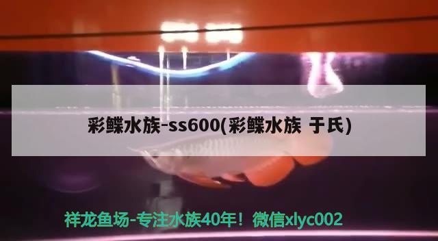 彩鲽水族-ss600(彩鲽水族于氏)