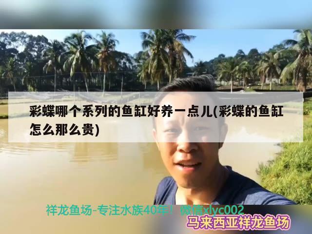 彩蝶哪个系列的鱼缸好养一点儿(彩蝶的鱼缸怎么那么贵) 泰国虎鱼（泰虎）