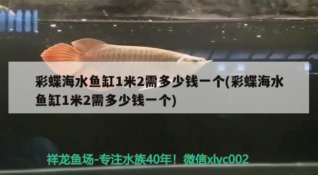 彩蝶海水鱼缸1米2需多少钱一个(彩蝶海水鱼缸1米2需多少钱一个)