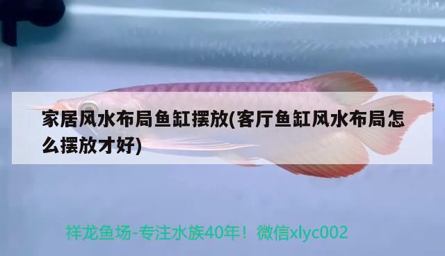 家居风水布局鱼缸摆放(客厅鱼缸风水布局怎么摆放才好) 鱼缸风水