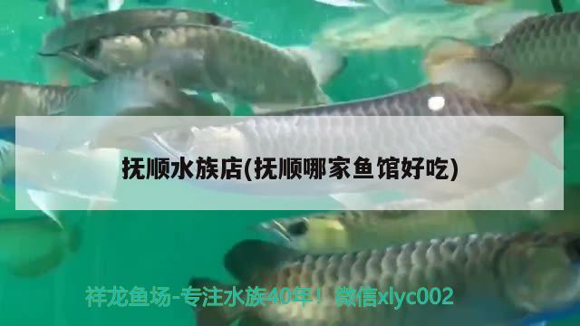 抚顺水族店(抚顺哪家鱼馆好吃)