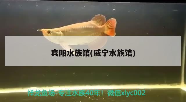 宾阳水族馆(威宁水族馆)