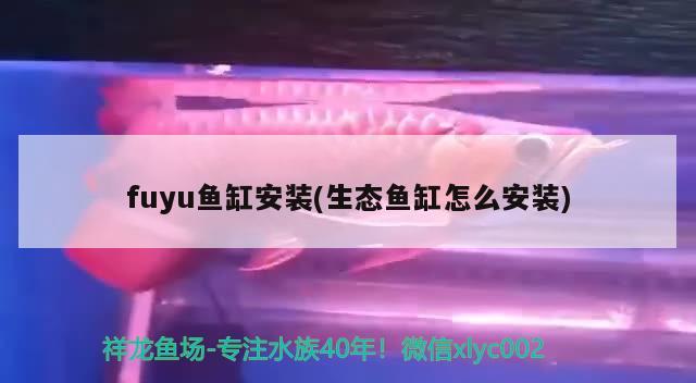 fuyu鱼缸安装(生态鱼缸怎么安装) 蓝底过背金龙鱼