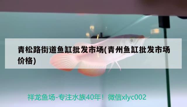 青松路街道鱼缸批发市场(青州鱼缸批发市场价格) 金三间鱼