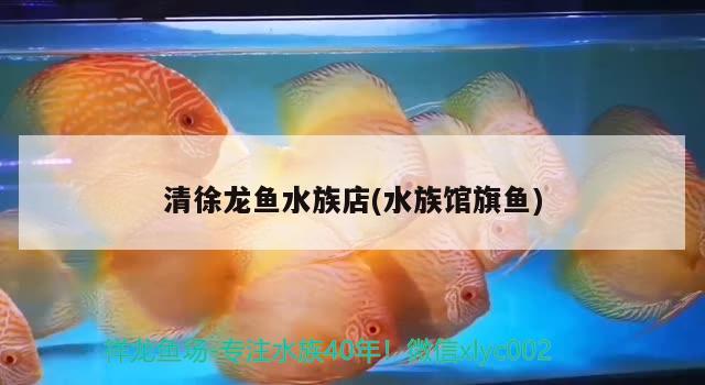 清徐龙鱼水族店(水族馆旗鱼) 广州观赏鱼鱼苗批发市场