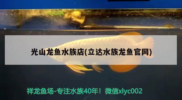 光山龙鱼水族店(立达水族龙鱼官网)