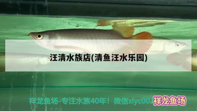 汪清水族店(清鱼汪水乐园) 观赏鱼饲料