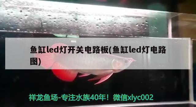 鱼缸led灯开关电路板(鱼缸led灯电路图)