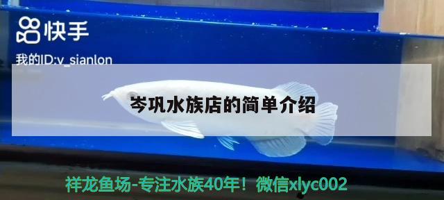 岑巩水族店的简单介绍