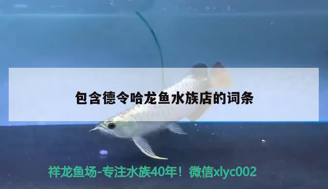 包含德令哈龙鱼水族店的词条