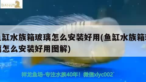 鱼缸水族箱玻璃怎么安装好用(鱼缸水族箱玻璃怎么安装好用图解)