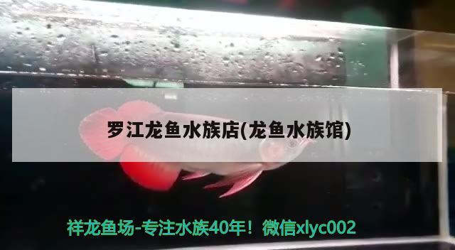 罗江龙鱼水族店(龙鱼水族馆)