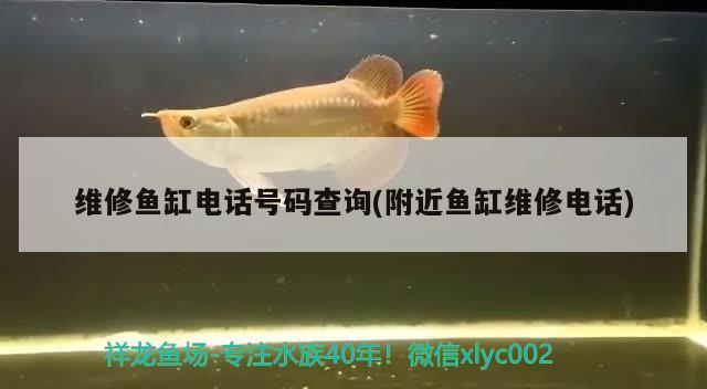 维修鱼缸电话号码查询(附近鱼缸维修电话)