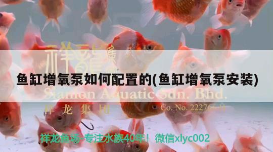 鱼缸增氧泵如何配置的(鱼缸增氧泵安装) 照明器材