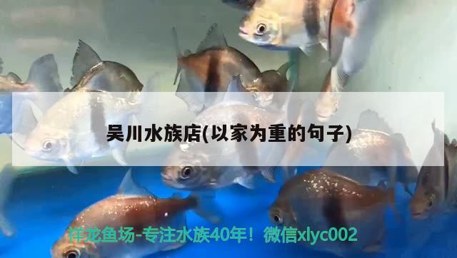 吴川水族店(以家为重的句子) 战车红龙鱼