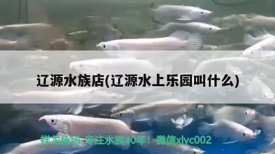 辽源水族店(辽源水上乐园叫什么) 黑桃A鱼苗