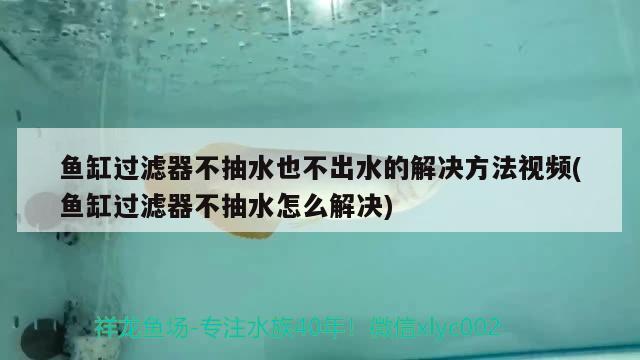 鱼缸过滤器不抽水也不出水的解决方法视频(鱼缸过滤器不抽水怎么解决) 观赏鱼批发