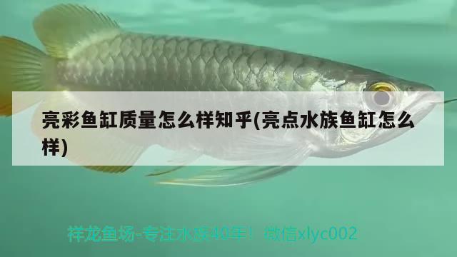 亮彩鱼缸质量怎么样知乎(亮点水族鱼缸怎么样)