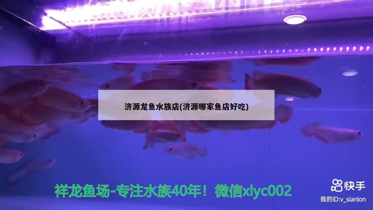 济源龙鱼水族店(济源哪家鱼店好吃)