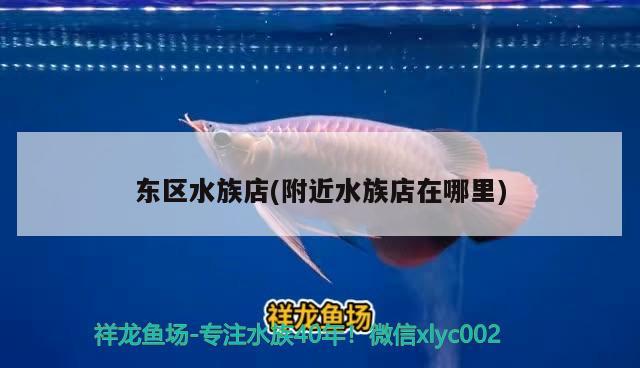 东区水族店(附近水族店在哪里)