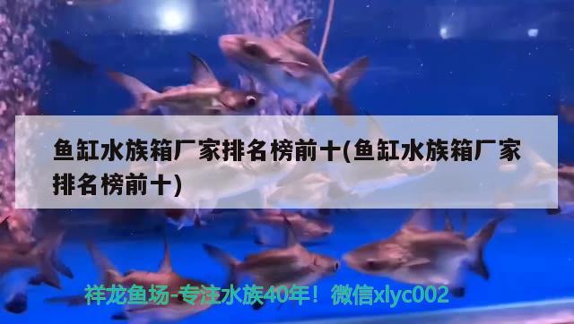 鱼缸水族箱厂家排名榜前十(鱼缸水族箱厂家排名榜前十) 鱼缸/水族箱 第2张