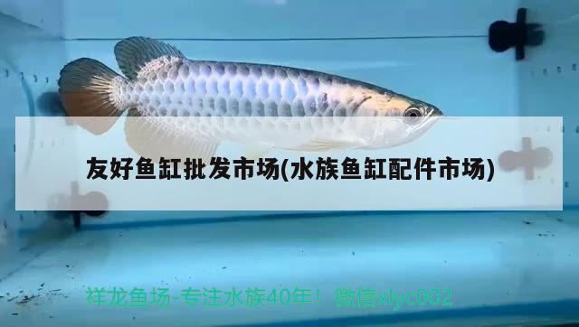 友好鱼缸批发市场(水族鱼缸配件市场) 观赏鱼水族批发市场