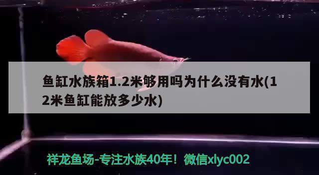 鱼缸水族箱1.2米够用吗为什么没有水(12米鱼缸能放多少水) 鱼缸/水族箱