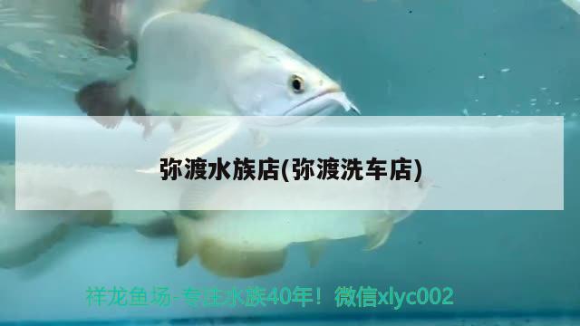 弥渡水族店(弥渡洗车店)