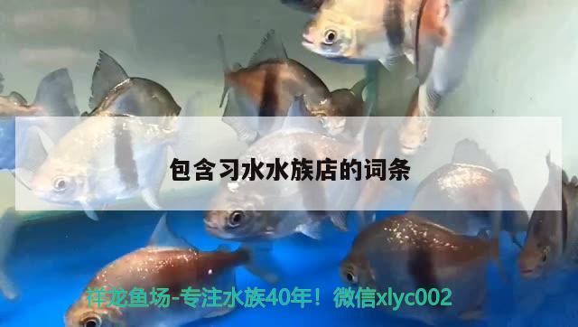 包含习水水族店的词条 圣菲埃及鱼