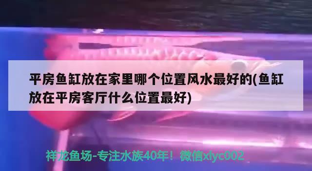 平房鱼缸放在家里哪个位置风水最好的(鱼缸放在平房客厅什么位置最好) 鱼缸风水