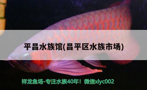 平昌水族馆(昌平区水族市场) 养鱼知识